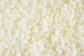 Non-GMO Emulsifying Wax Pastilles NF - 8 OZ - Cosmetics - Homemade Soap -by Natural Farms